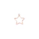 metal frame star matte gold