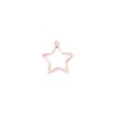 Metallrahmen Stern matt gold