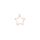 metal frame star matte gold