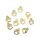 10 small paw bezels gold
