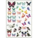 colored film sheet - butterflies