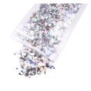 10g gemischte holografische Sequins