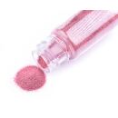 5g holografic glitter powder pink