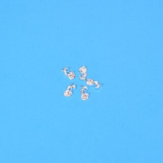 5 little roses silver - design 1