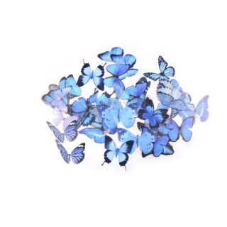 40 butterfly stickers blue