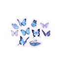 40 butterfly stickers blue
