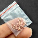 3 Kometen rose gold