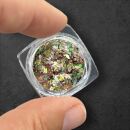 mixed holographic glitter in 12 different colors